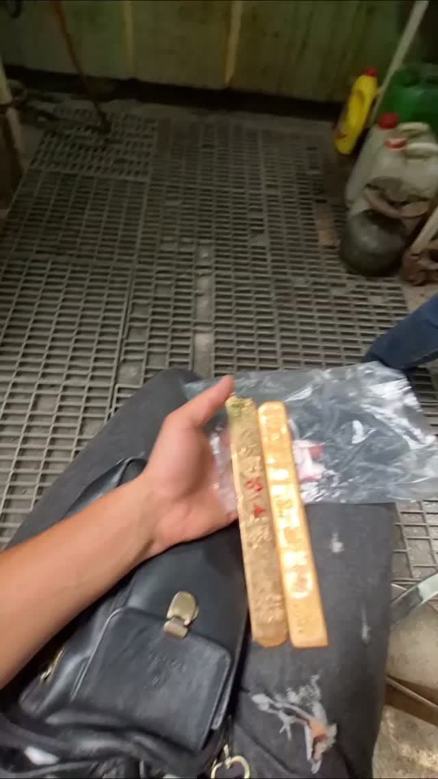 جمله را رزاق روزی می‌دهد