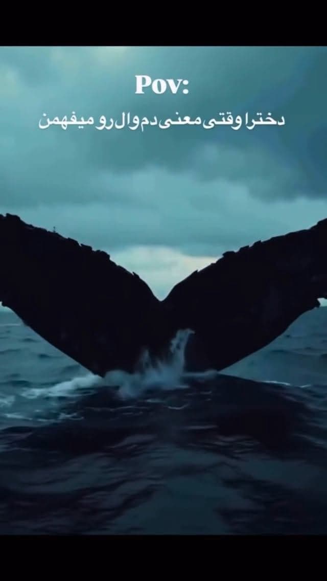 بیا بهت افسانه دم وال رو بگم🐋